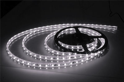 Rezistentă la apă Bandă LED Alimentare 12V cu Lumină Bianco reglabil Lungime 5m și 60 LED-uri pe Metru SMD3528