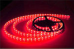Rezistentă la apă Bandă LED Alimentare 12V cu Lumină Roșu Lungime 5m și 60 LED-uri pe Metru SMD5050