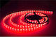 Αδιάβροχη Ταινία LED Τροφοδοσίας 12V με Κόκκινο Φως Μήκους 5m και 60 LED ανά Μέτρο Τύπου SMD5050