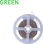 Eurolamp LED Strip Power Supply 12V with Green Light Length 5m and 60 LEDs per Meter SMD2835