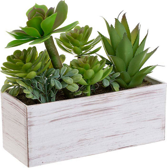 Plantă Artificială în Ghiveci Mic Cactus Ghiveci Green 20cm Inart