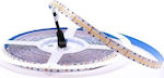 V-TAC LED Strip Power Supply 24V with Cold White Light Length 10m and 240 LEDs per Meter SMD2835