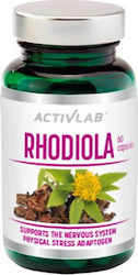 ActivLab Rhodiola 60 Kapseln ActivLab Rhodiola 60 Kapseln