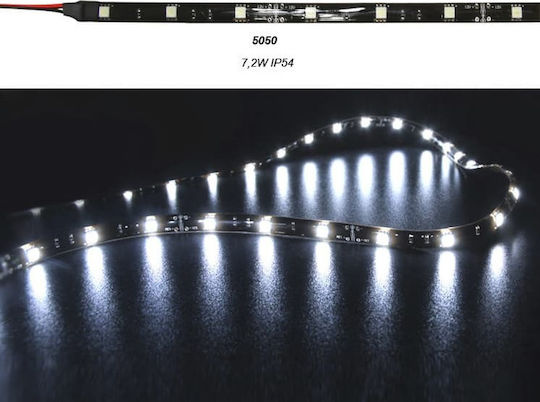 Adeleq Bandă LED 12V Alb Rece Lumină 5m Tip SMD3528
