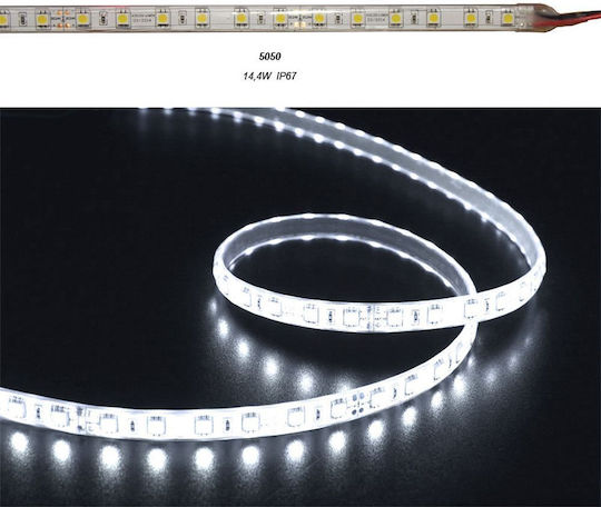 Adeleq Waterproof LED Strip 24V Cold White Light 5m Type SMD5050