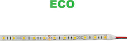 Adeleq Ταινία LED 12V 5m Adeleq Ταινία LED 12V 5m