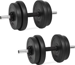 vidaXL Set de gantere 2x 10kg