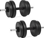 vidaXL Dumbbell Set 2x10kg