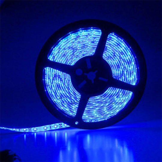 Atman LED Strip 12V Blue Light 5m Type SMD2835