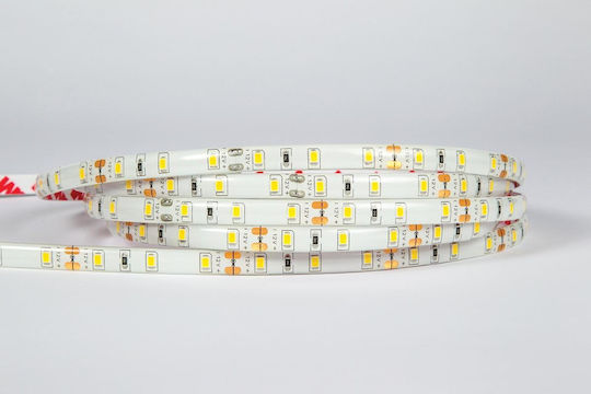 VK Lighting Водоустойчива LED Лента 12V Зелено Светлина 5м Тип SMD3528
