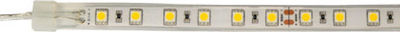 VK Lighting VK/12/5050W/C/60 Wasserdicht LED Streifen Versorgung 12V mit Natürliches Weiß Licht Länge 5m und 60 LED pro Meter SMD5050