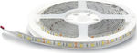 Geyer LED Strip Power Supply 12V with Warm White Light Length 5m and 60 LEDs per Meter SMD5050