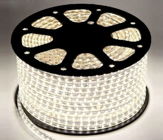 Universe Waterproof LED Strip 220V Natural White Light 1m Type SMD5050