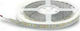 Lucas Bandă LED 12V Alb Cald Lumină 5m Tip SMD5050