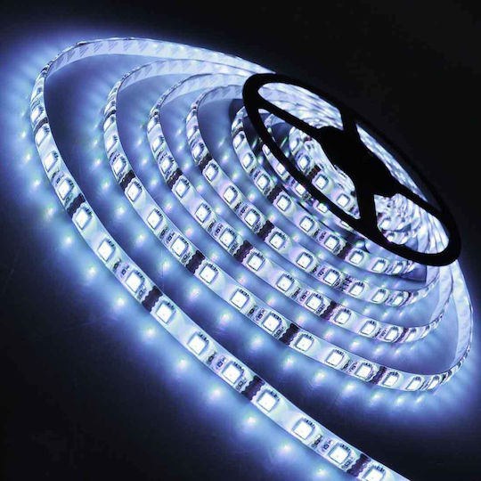 Lucas Ταινία LED 12V Ψυχρό Λευκό Φως 5m Τύπου SMD5050