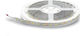 Lucas Αδιάβροχη Ταινία LED 12V Ψυχρό Λευκό Φως 5m Τύπου SMD5050