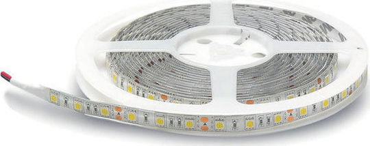Lucas LED Strip 12V RGB Light 5m Type SMD5050