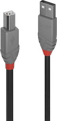 Lindy 36673 Cabluri USB USB 2.0 USB-A Masculin în USB-B Masculin 2m