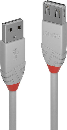 Lindy 0.2m USB 2.0 Cable A-Male to A-Female Gray (36710)