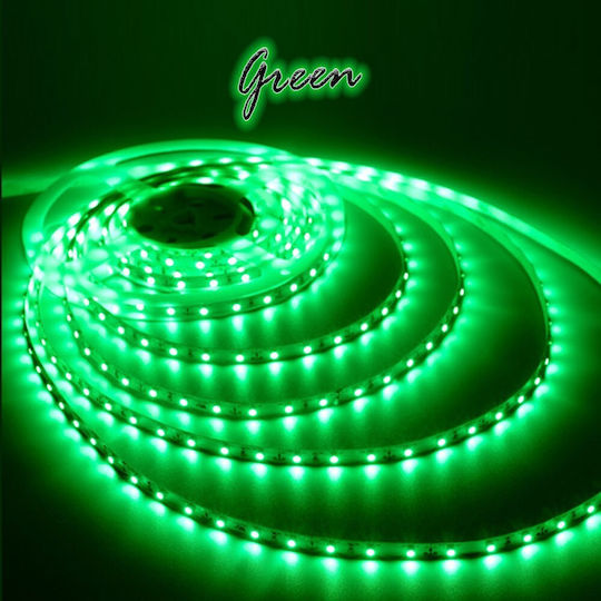 Atman Ταινία LED 12V Πράσινο Φως 1m Τύπου SMD5050