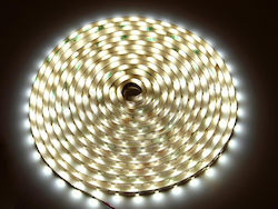 Vivalux LED Strip 12V with Natural White Light 5m Vivalux LED Strip 12V with Natural White Light 5m
