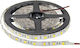Vito LED Strip 12V Cold White Light 5m Type SMD2835