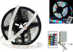 LED Strip Power Supply 12V RGB Length 5m and 60 LEDs per Meter Set with Remote Control and Power Supply SMD3528