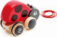 Hape Schiebespielzeug Push & Pull Συρόμενη Πασχαλίτσα aus Holz für 12++ Monate