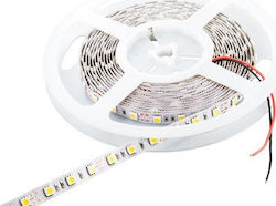 Cubalux LED Strip Power Supply 12V with Natural White Light Length 5m and 30 LEDs per Meter SMD2835