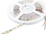 Cubalux Rezistentă la apă Bandă LED Alimentare 12V cu Lumină Alb Cald Lungime 5m și 60 LED-uri pe Metru SMD2835