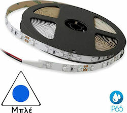 Cubalux Rezistentă la apă Bandă LED Alimentare 12V cu Lumină Albastru Lungime 5m și 60 LED-uri pe Metru SMD3528