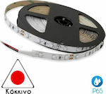 Cubalux Waterproof LED Strip Power Supply 12V with Red Light Length 5m and 60 LEDs per Meter SMD5050