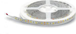 Lucas Waterproof LED Strip Power Supply 12V with Cold White Light Length 5m and 60 LEDs per Meter SMD5050