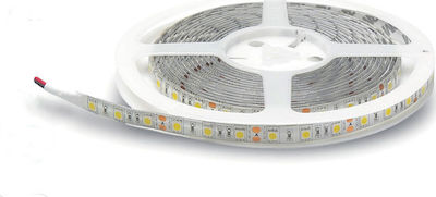 Lucas Rezistentă la apă Bandă LED Alimentare 12V cu Lumină Alb Cald Lungime 5m și 60 LED-uri pe Metru SMD5050