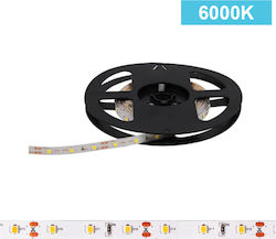 Power Led Ταινία LED 2RLS144652024 24V Ψυχρό Λευκό 5m