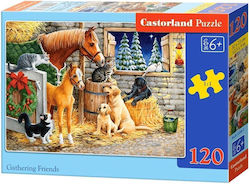 Kids Puzzle Gathering Friends 120pcs Castorland