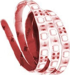Wasserdicht LED-Streifen 12V mit Rot Licht 1m Wasserdicht LED-Streifen 12V mit Rot Licht 1m