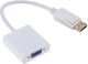 Anga Convertor DisplayPort Masculin În VGA Feminin Alb 1 Bucată PS-V41