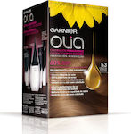 Garnier Olia Hair Dye no Ammonia 5.3 Capuccino 4x 60gr