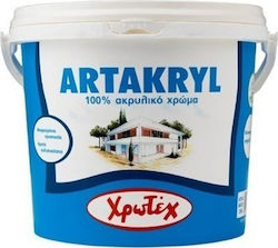 CHrotech Artakryl Plastic Vopsea Acrilic pentru Utilizare Externă 750ml