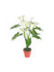 Artekko Artificial Plant in Pot Calla Lily White 90cm 6-0050