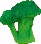 Oli&Carol Brucy the Broccoli Teether made of Rubber for 3 m+ 1pcs