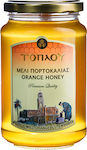 Savidakis Family Honey Orange Orange Blossom Honey 470gr