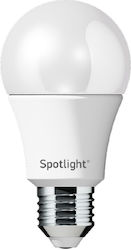 Spot Light LED Bulb 10W for Socket E27 Warm White Spot Light LED Bulb 10W for Socket E27 Warm White