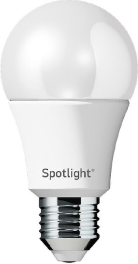 Spot Light LED Bulb 10W for Socket E27 and Shape A60 Cool White 800lm