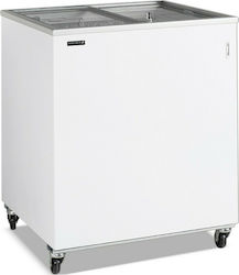 Tefcold IC300SC-p