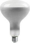 V-TAC VT-2198D LED Lampen für Fassung E27 Kühles Weiß 600lm Dimmbar 1Stück