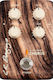 LR Baggs Align Series Πετάλι Effect Chorus Ηλεκ...
