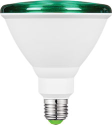 VK Lighting LED 15W E27 Πράσινο VK Lighting LED 15W E27 Πράσινο