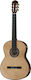 Cordoba Guitars C12 Spruce Classical Guitar 4/4 Natural